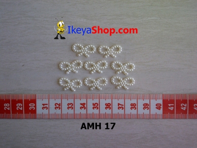 AMH 17  large2